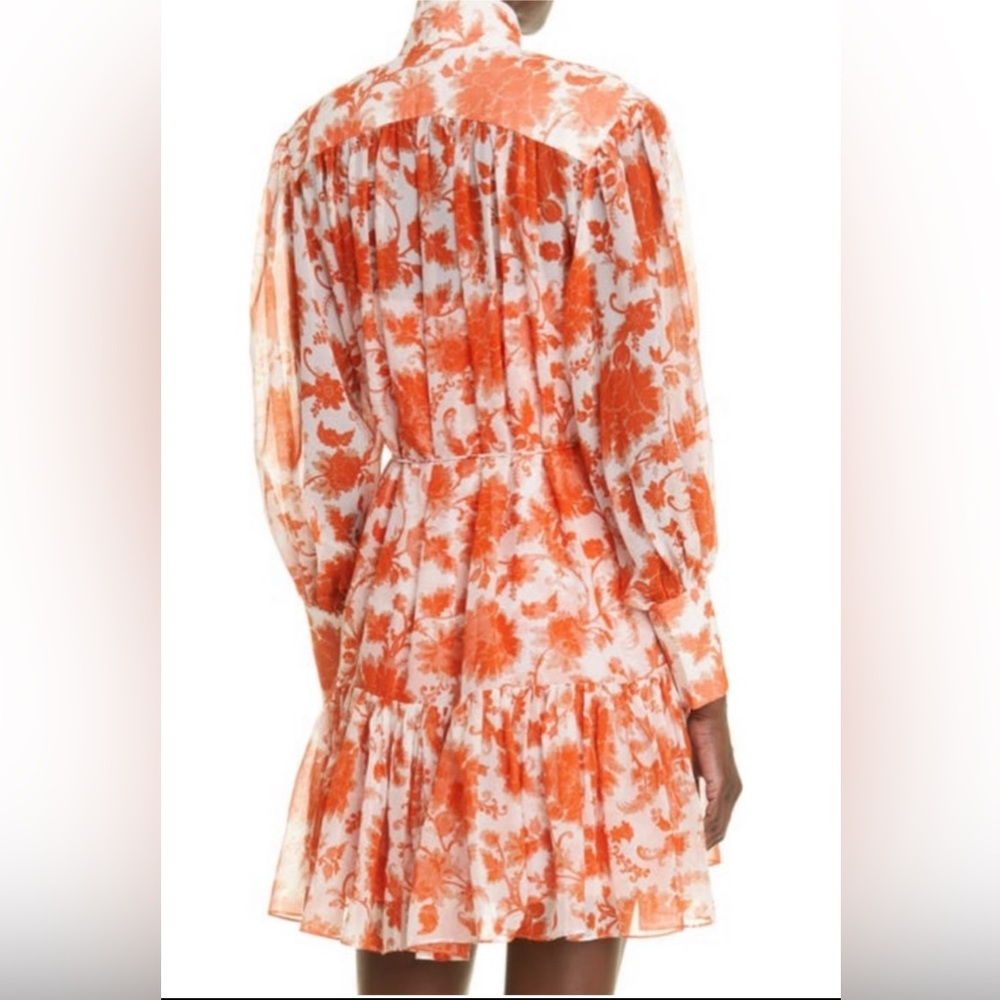Zimmermann Chiffon Long-Sleeve Mini Dress - Picture 3 of 10